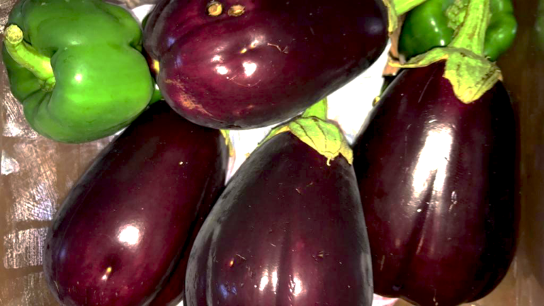 eggplant-1024x576